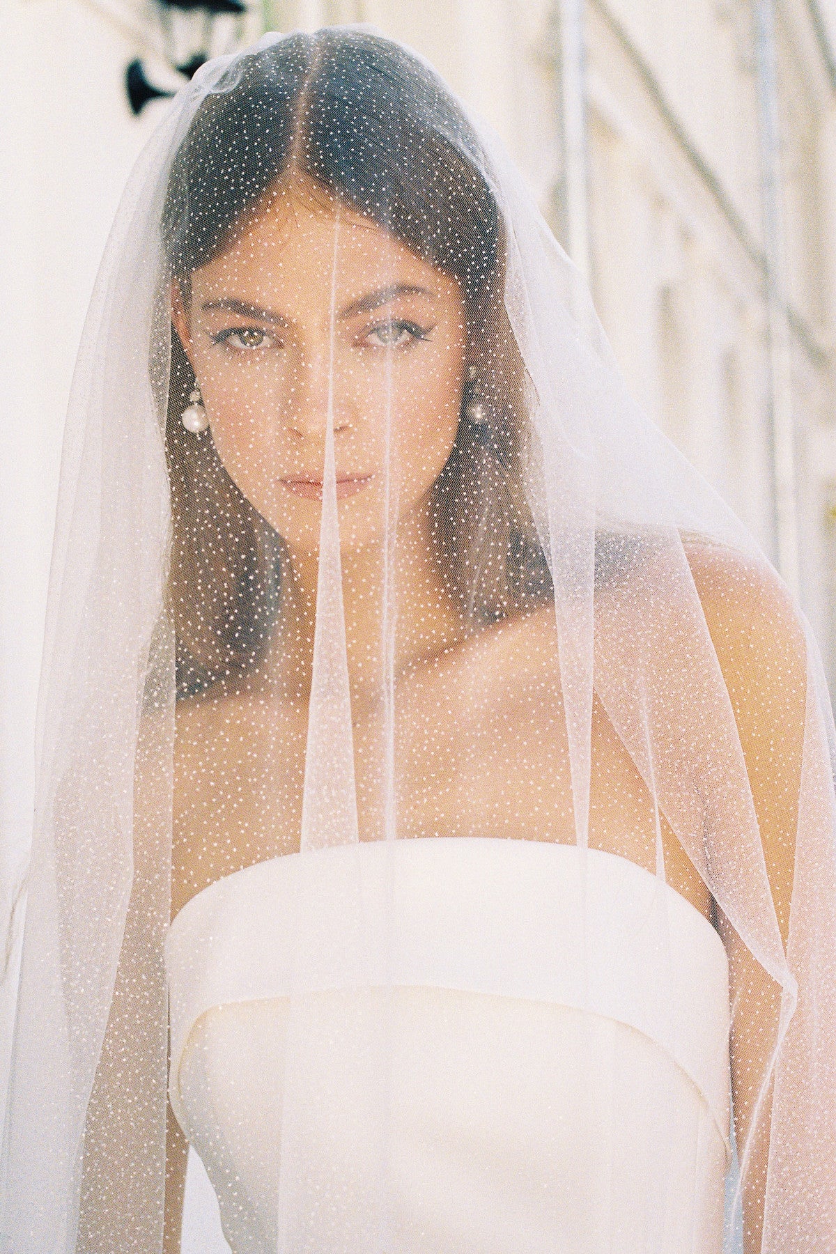 Glitter Tulle Veil Glitter Tulle Veil