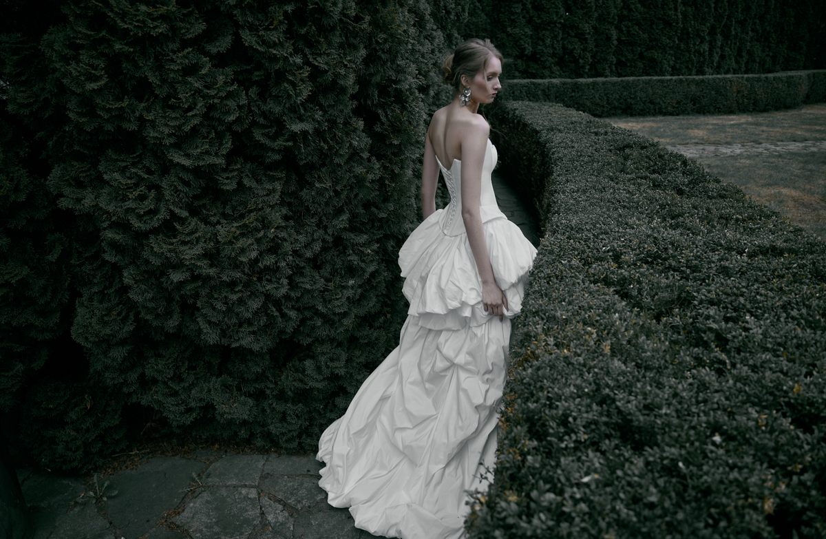 collection-banner-image